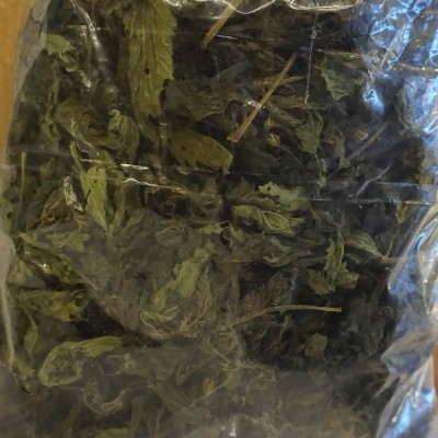 Isırgan Otu 100 Gr 