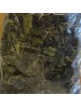 Isırgan Otu 100 Gr 