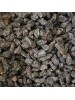 Siyah Üzüm Çekirdeksiz 1 Kg 