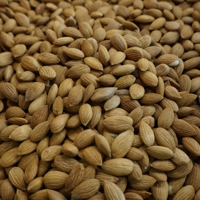 Kayısı Badem Gün Kurusu 1 Kg