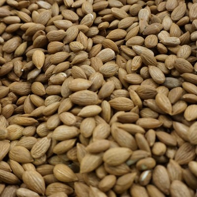 Kayısı Badem İslimli 1 Kg yeni sezon